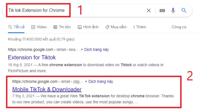 Nhập Tiện ích mở rộng TikTok cho Chrome và chọn Mobile TikTok và Downloader