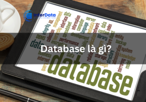 Database là gì