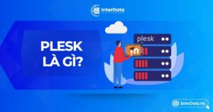Plesk là gì - 5 đối tượng nên sử dụng Plesk & Tính năng nổi bật