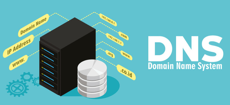 Domain Name System (DNS) 01