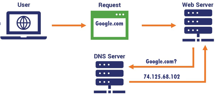 Domain Name System (DNS) 02