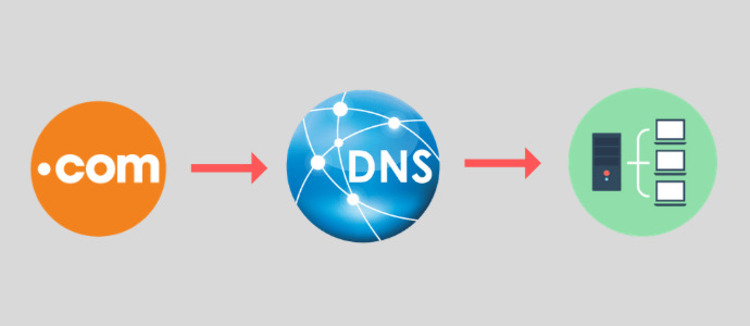 Domain Name System (DNS) 05