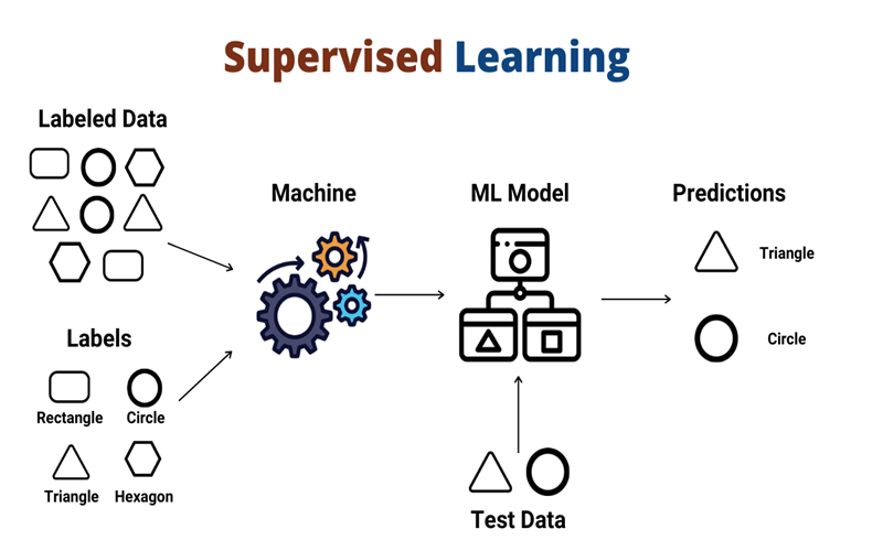 Machine Learning là gì? Định nghĩa - Phân loại & Ứng dụng 3 Học máy có giám sát (Supervised Machine Learning)