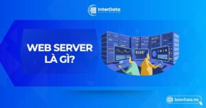 Web Server Là Gì - Toàn Tập Về Chức Năng & Các Loại Phổ Biến
