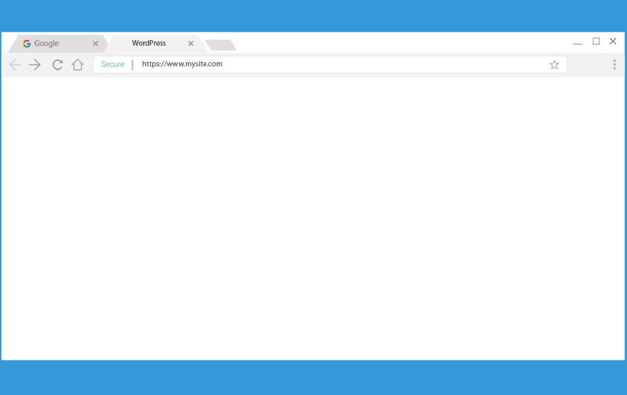 Lỗi trang trắng WordPress là gì?