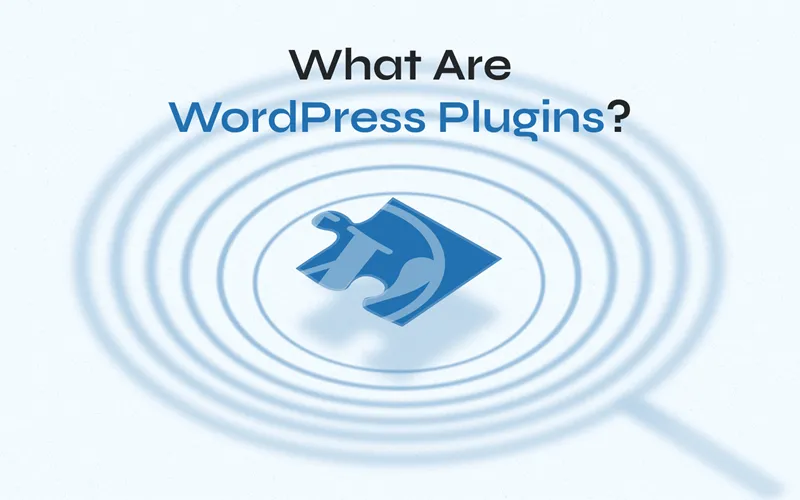 Plugin WordPress là gì?