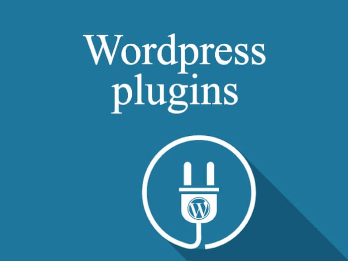 Plugin hoặc theme lỗi thời