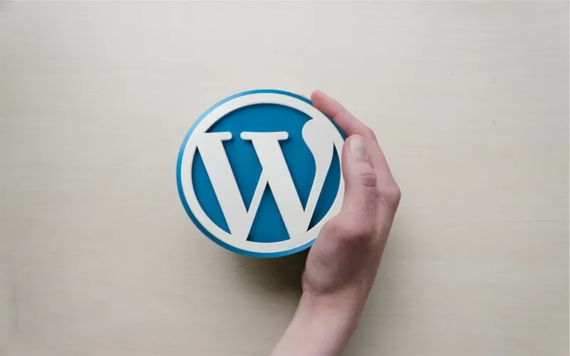 Lỗi 500 Internal Server Error Là Gì? 14+ Cách Fix Nhanh Chóng 6 Tải lại file WordPress gốc để sửa lỗi