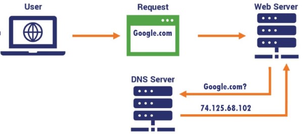 Cách domain hoạt động