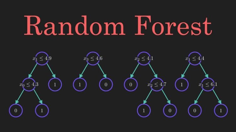 Random Forest là gì? Vai trò, ứng dụng rừng ngẫu nhiên trong ML