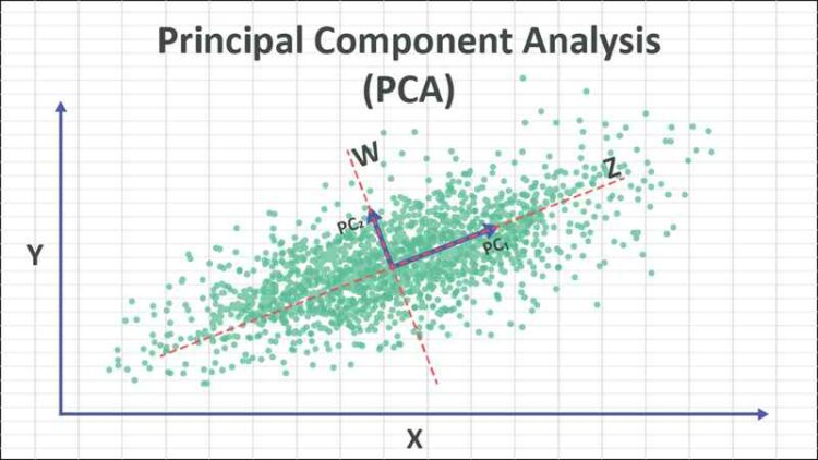 PCA là gì? Thông tin nên biết về Principal Component Analysis