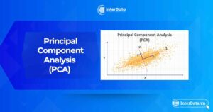 PCA là gì - Thông tin nên biết về Principal Component Analysis