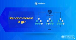 Random Forest là gì - Vai trò & Ứng dụng của rừng ngẫu nhiên