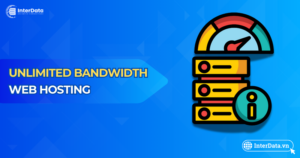 Unlimited Bandwidth Hosting