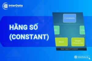 Hằng số là gì