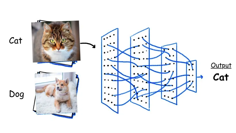 Image Classification là gì? Kỹ thuật & Ứng dụng phân loại ảnh 1 Image Classification là gì?