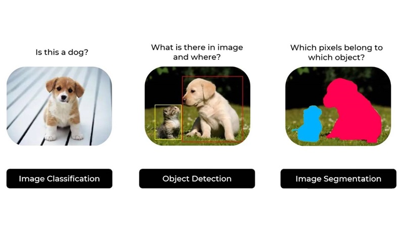 Image Segmentation là gì? Kỹ thuật, Ứng dụng của phân đoạn ảnh 2 Image Segmentation so với Object Detection và Image classification