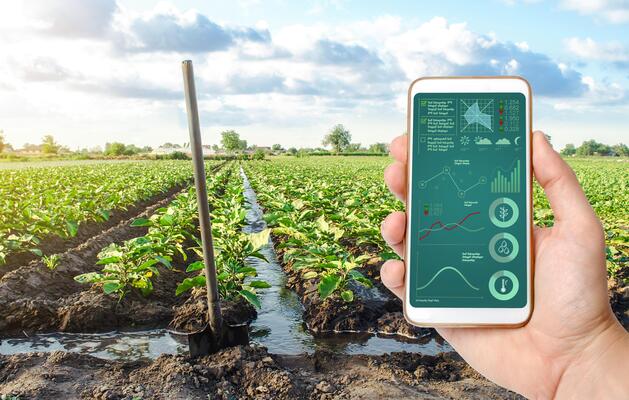 Nông nghiệp thông minh là gì? Lợi ích & Xu hướng Smart Farming 4 Lợi ích của giải pháp nông nghiệp thông minh