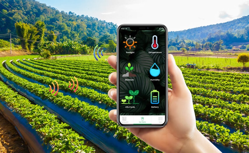Nông nghiệp thông minh là gì? Lợi ích & Xu hướng Smart Farming 3 Một số công nghệ trong nông nghiệp thông minh