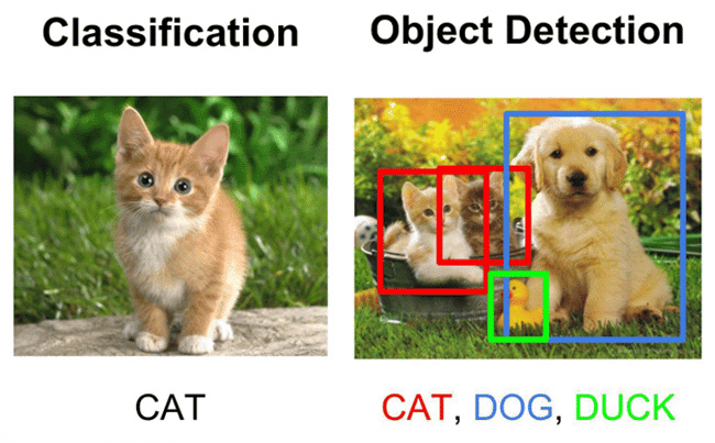 Image Classification là gì? Kỹ thuật & Ứng dụng phân loại ảnh 2 Phân biệt Image Classification vs Object Detection