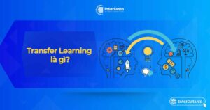 Transfer Learning là gì - Ưu, nhược điểm của học chuyển giao AI