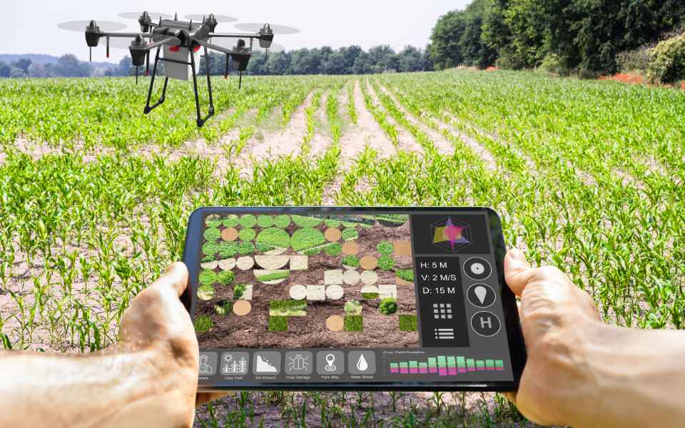 Nông nghiệp thông minh là gì? Lợi ích & Xu hướng Smart Farming 5 Ứng dụng thực tế của Smart Farming