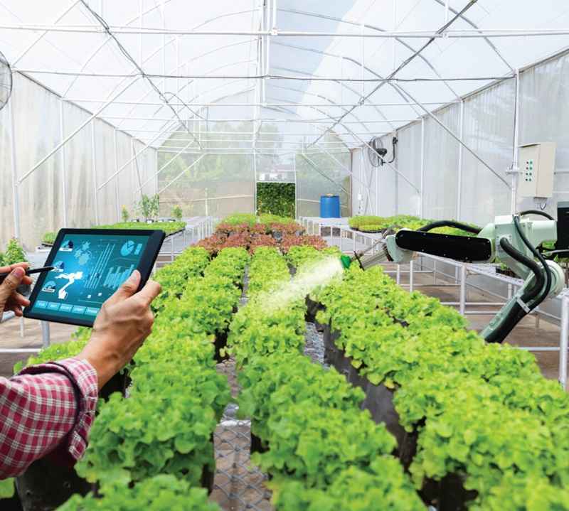 Nông nghiệp thông minh là gì? Lợi ích & Xu hướng Smart Farming 2 Vai trò của AI trong nông nghiệp thông minh