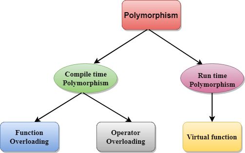 Polymorphism là gì? A-Z về tính đa hình trong OOP cho người mới 2 Các loại tính đa hình trong OOP