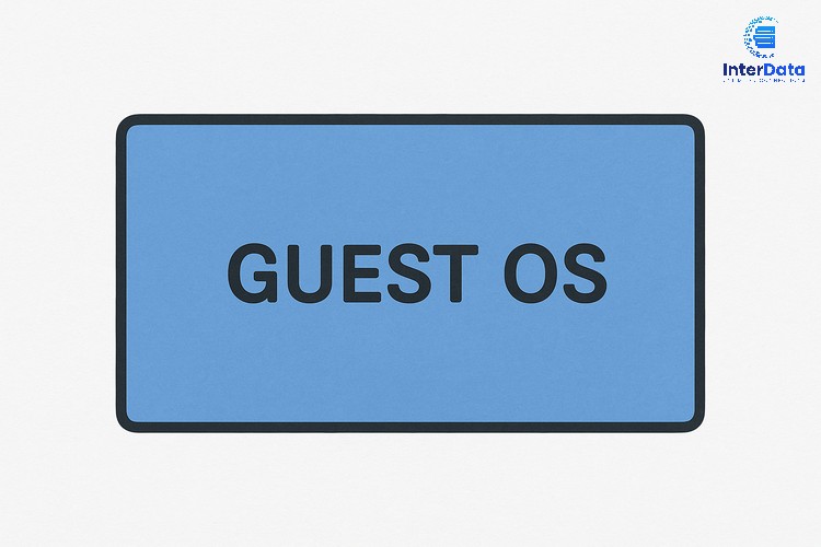 Guest OS 03