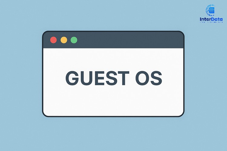 Guest OS 04