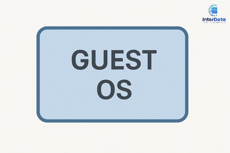 Guest OS 06