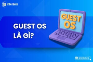 Guest OS
