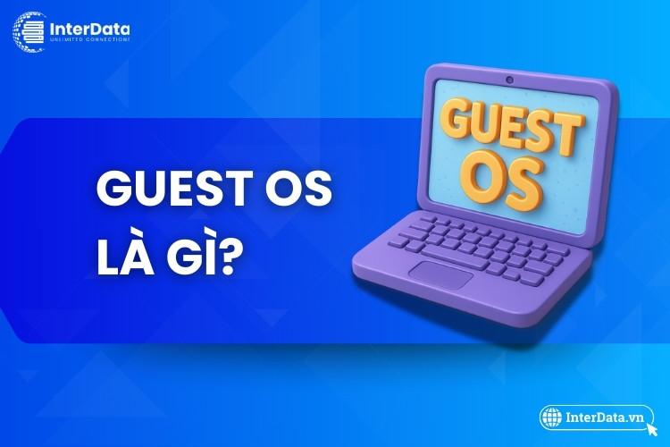 Guest OS