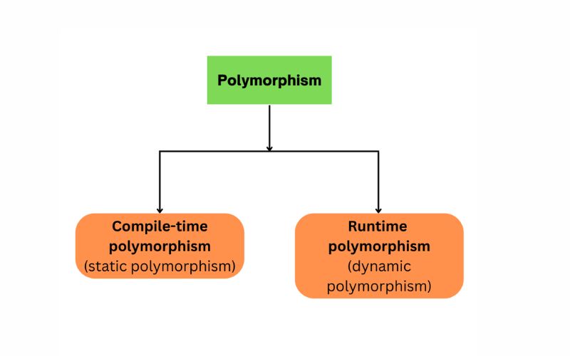 Polymorphism là gì? A-Z về tính đa hình trong OOP cho người mới 4 Hạn chế của tính đa hình trong OOP