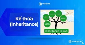 Kế thừa là gì - Lợi ích & 4+ Loại hình kế thừa cơ bản trong OOP