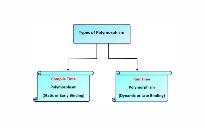 Polymorphism là gì? A-Z về tính đa hình trong OOP cho người mới 3 Lợi ích của tính đa hình trong OOP
