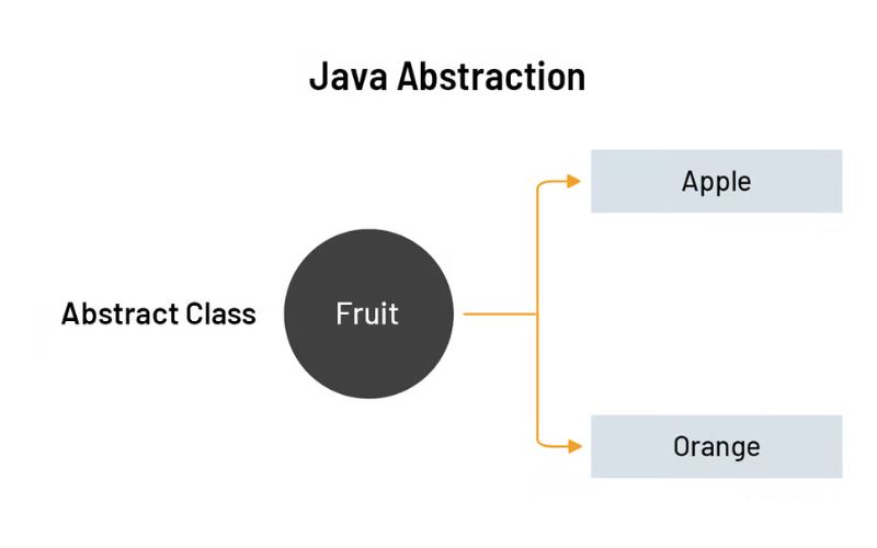 Abstract Class là gì? Giải thích cơ bản & Ví dụ lớp trừu tượng 2 Lợi ích khi sử dụng Abstract Class trong lập trình