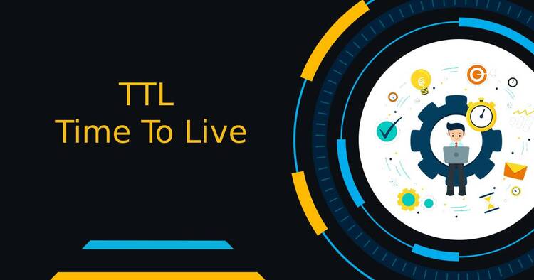 Time to live (TTL) 01