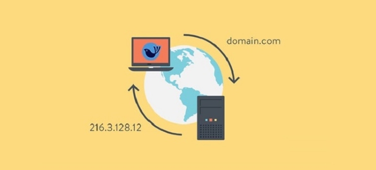 name server 02