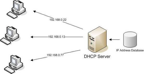DHCP Server