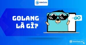 Go Là Gì - Giải Thích Đầy Đủ Về Ngôn Ngữ Lập Trình Golang