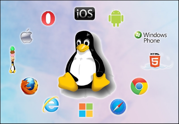 Hệ điều hành cho lập trình viên | Windows, macOS hay Linux? 5 Hệ điều hành Linux