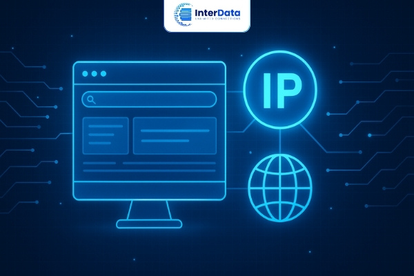 IP vs Website 01
