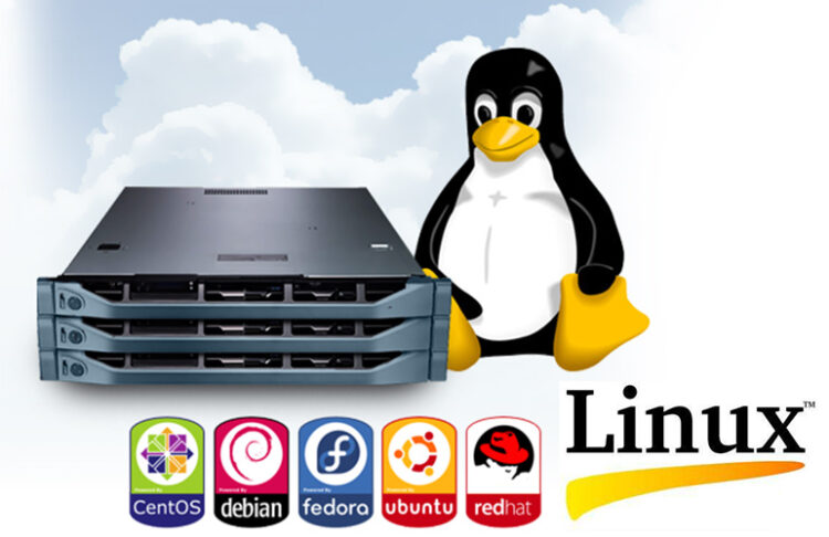 Hệ Điều Hành Server: Tổng Quan, Phân Loại & Cách Lựa Chọn