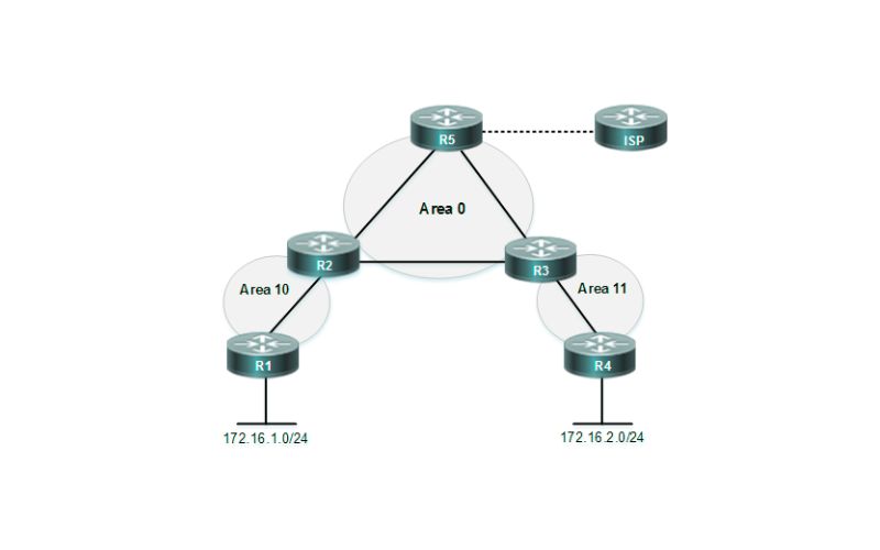 Cấu trúc và thành phần chính trong OSPF