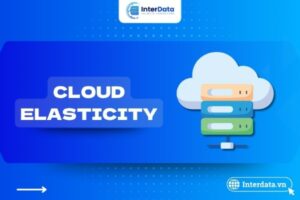 Cloud Elasticity