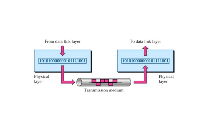 Tầng Physical Layer là gì