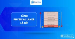 Tổng quan tầng vật lý Physical Layer