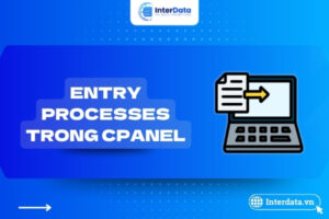 Entry Processes trong cPanel