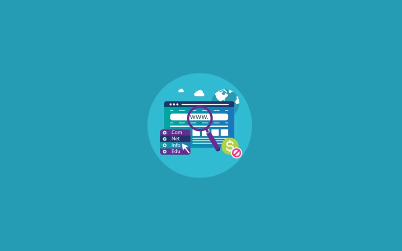 Xem lịch sử hoạt động của tên miền